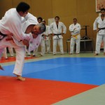 stage culture judo du 21 10 12 077